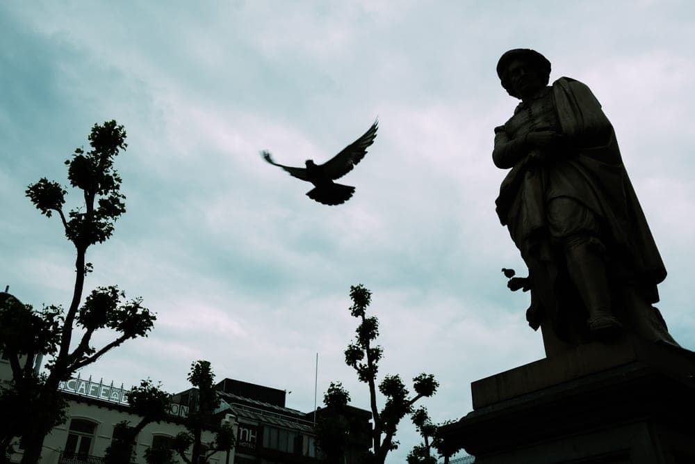 Emiel Pol · Amsterdam 2021 · Contrast, frame 1 of 3