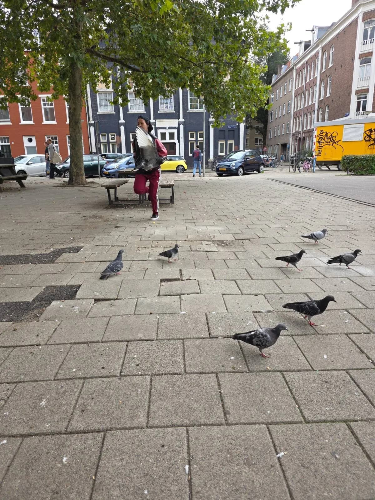 Pigeons on a quiet square