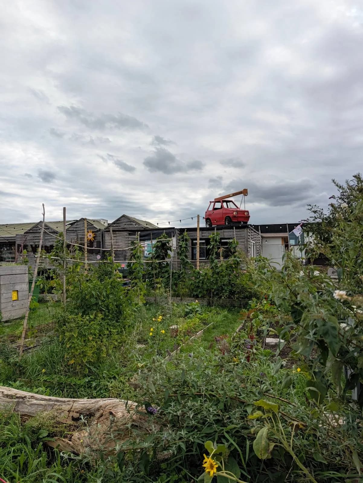 An old van on a roof above a garden