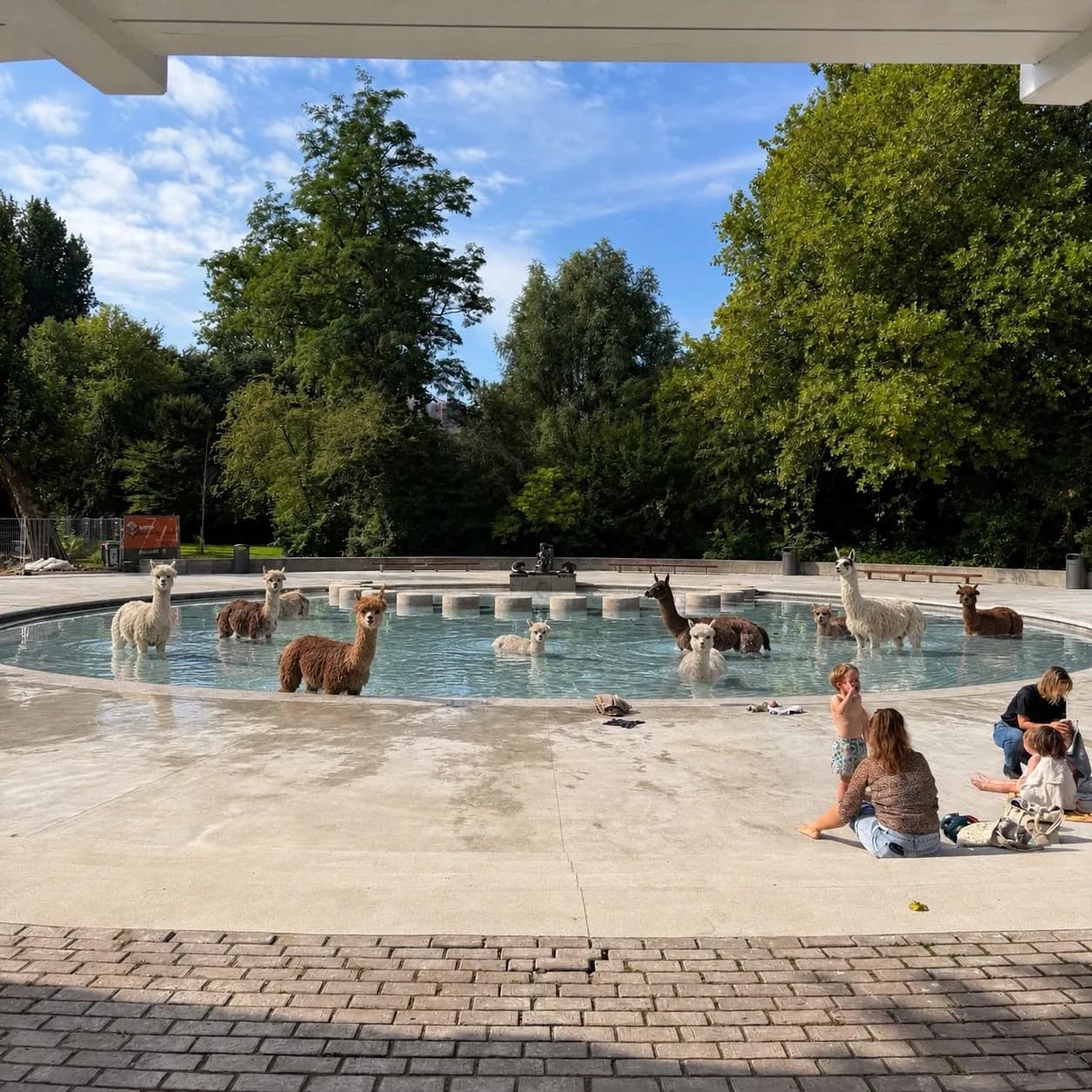 Alpaca statues in a park fountain