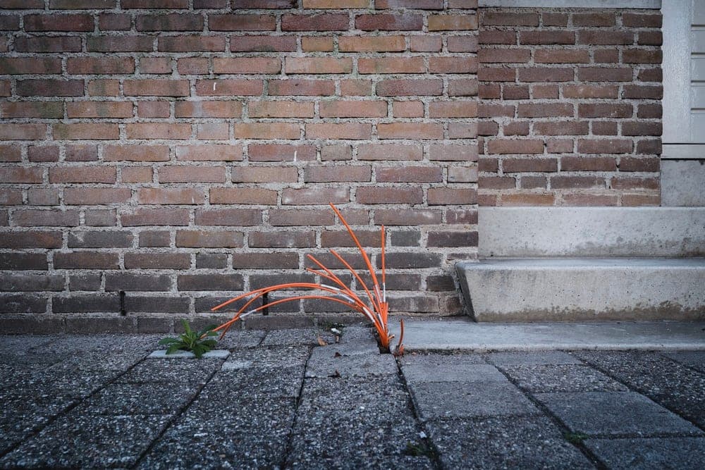 Esther Gerritsen · Nijmegen 2022 · Spitsuur, frame 1 of 3