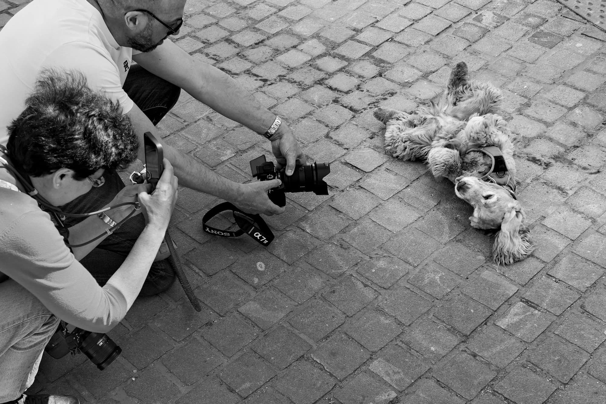 Paris 2025 · selected series