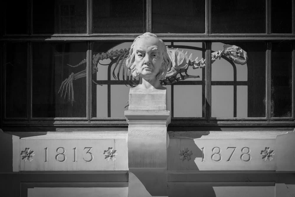 Elisabeth Euvrard · Paris 2025 · Seen through, frame 1 of 3