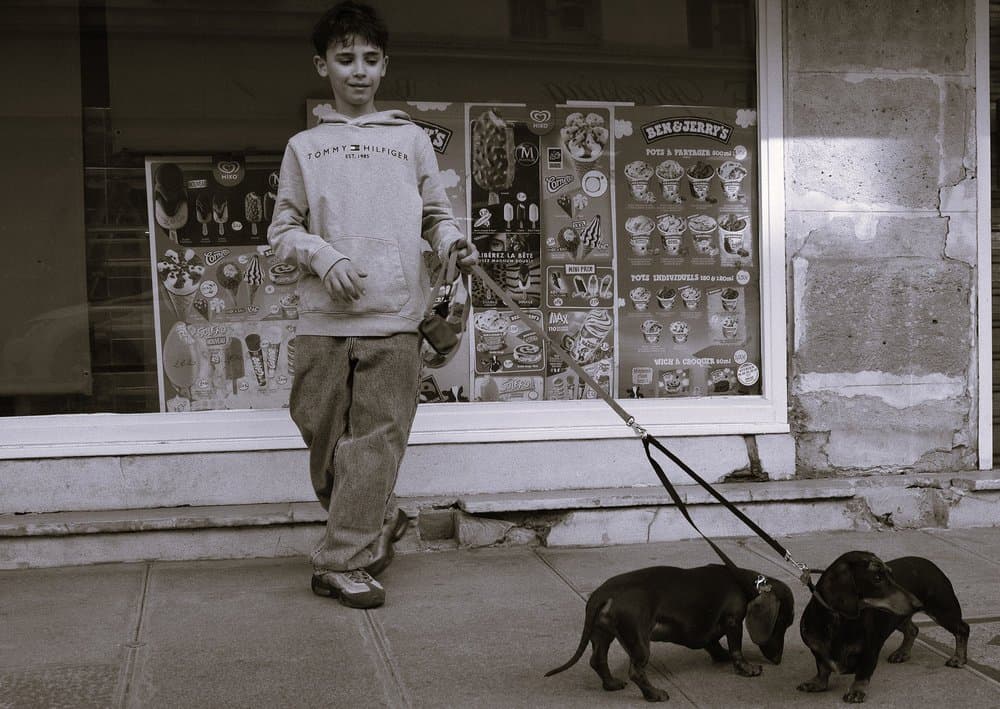 Clara Serena Morales · Paris 2025 · Four-legged companions, frame 1 of 3