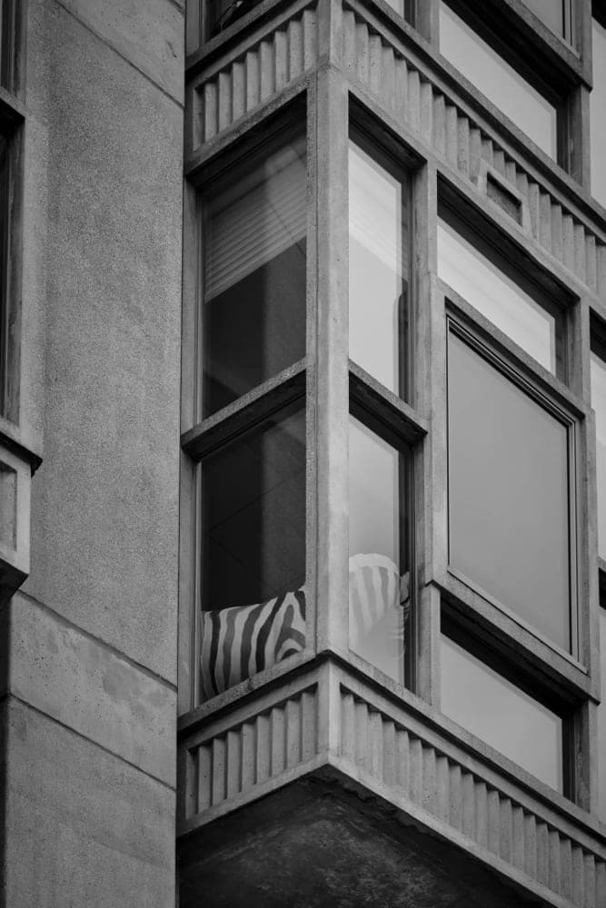 Harry Wijsbroek · Rotterdam 2019 · Stranger than fiction, frame 1 of 3