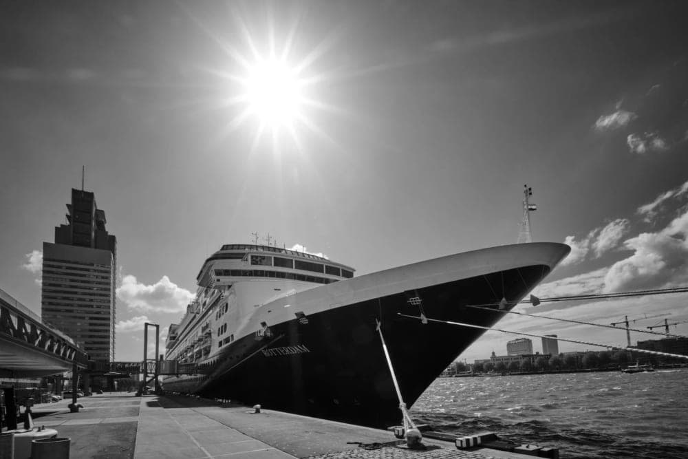Harry Wijsbroek · Rotterdam 2019 · We will meet again, frame 1 of 3