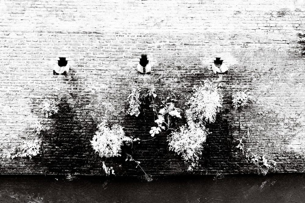 Marco Bollaart · Utrecht 2024 · Hidden structures, frame 1 of 3