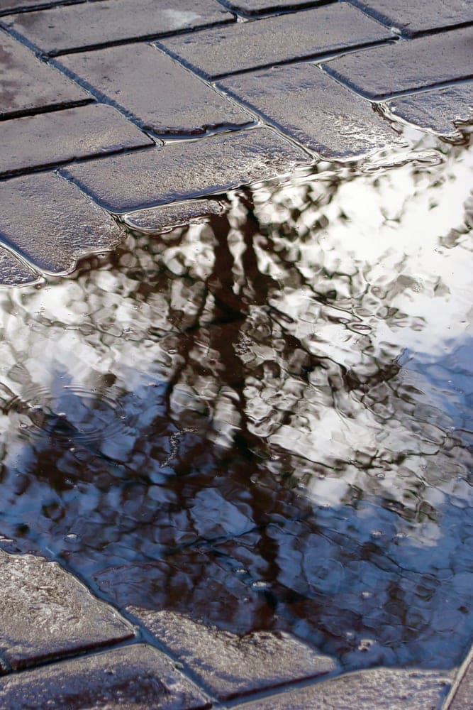 Beatriz Pineda · Amsterdam 2011 · Self indulging reflections, frame 1 of 3