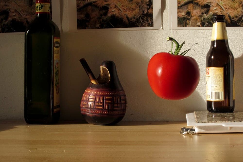 Sergio Gonzalez · Amsterdam 2011 · No fear for colors, frame 1 of 3