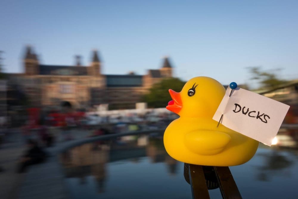 Sergio Gonzalez · Amsterdam 2013 · In motion, frame 1 of 3