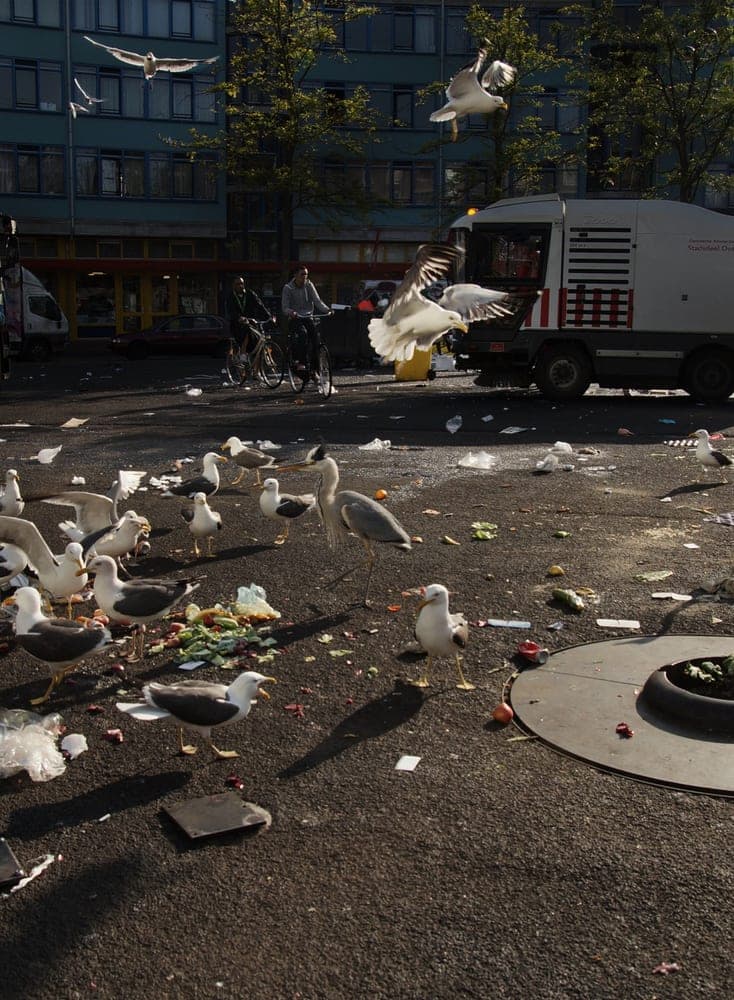 Shuying Lin · Amsterdam 2013 · In motion, frame 1 of 3