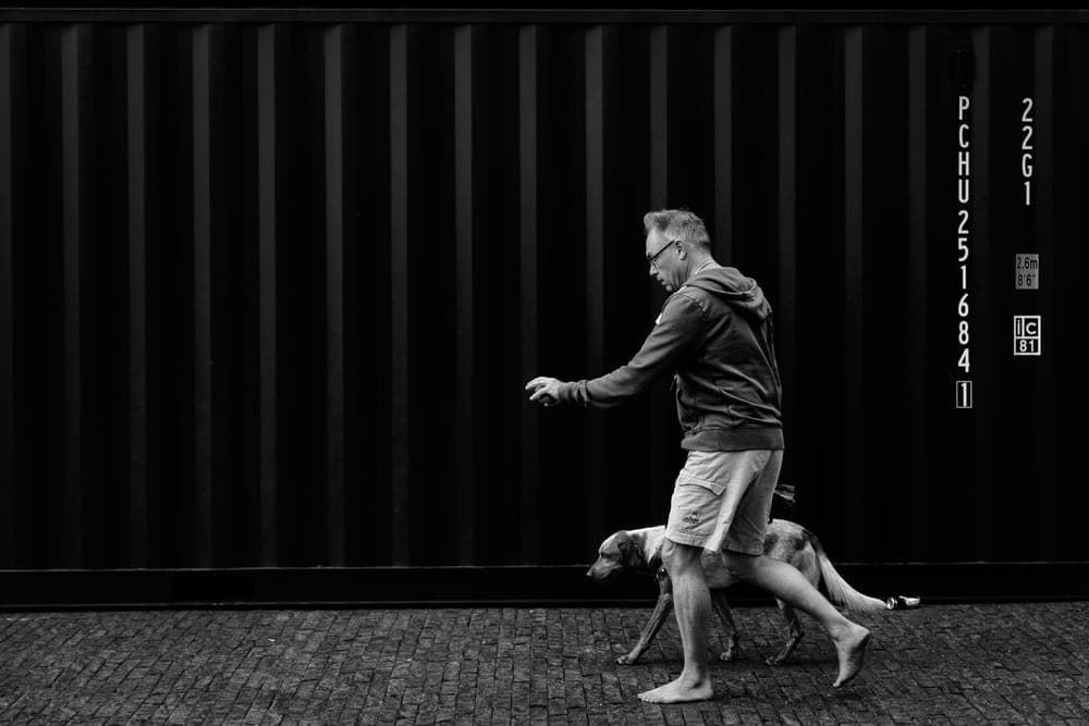 Rene van Rijswijk · Amsterdam 2018 · Urban fauna, frame 1 of 3