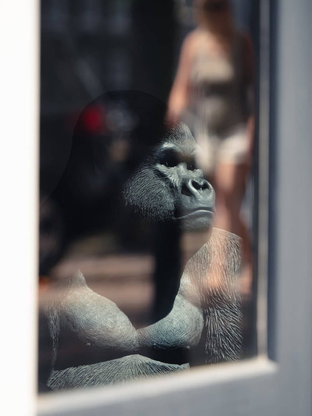 Roger Janssen · Amsterdam 2023 · Behind The Scenes, frame 1 of 3