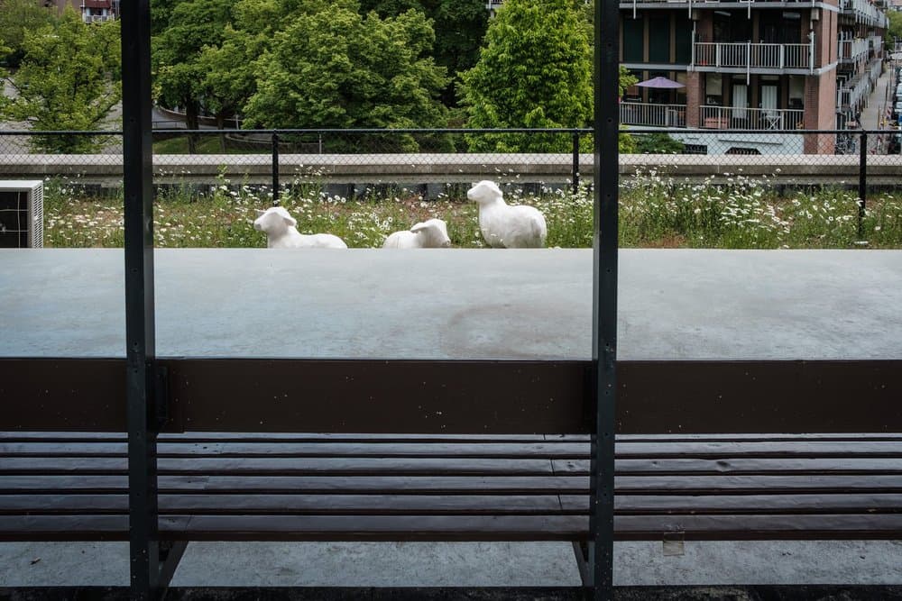 Jonathan Lai · Rotterdam 2018 · Metamorphosis, frame 1 of 3