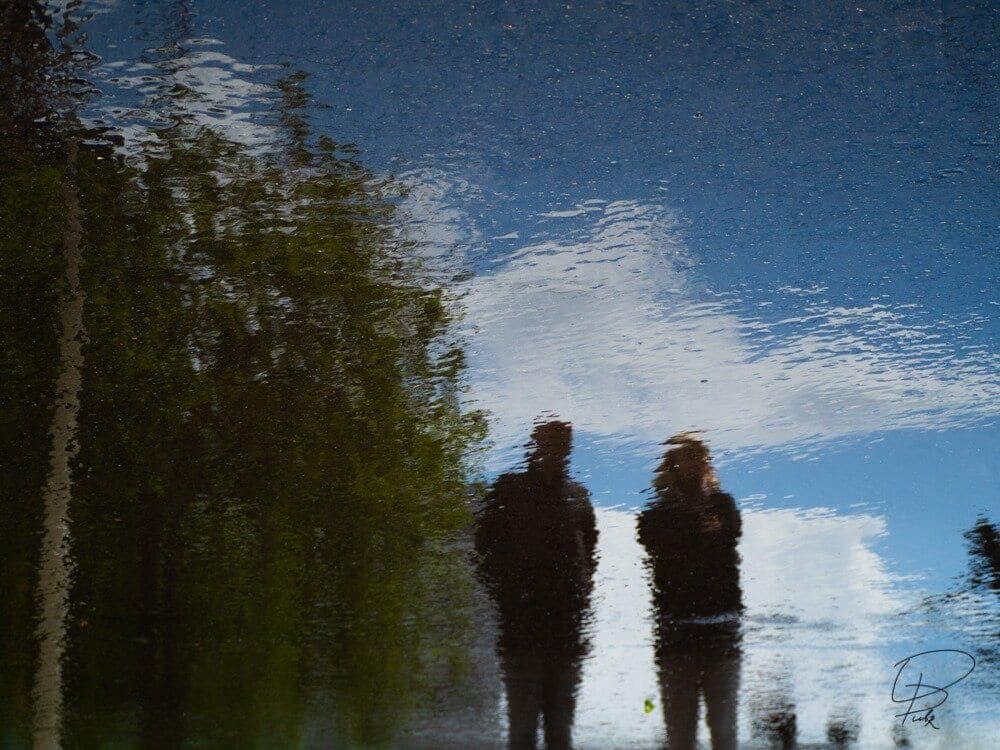 Olga Dubrovina - “Stranger than fiction”, Rotterdam, 2019